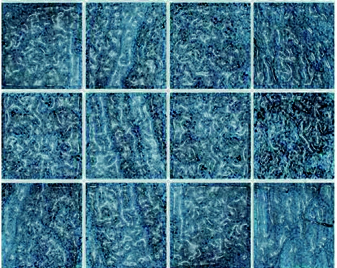 Samoa tiles, glossy finish